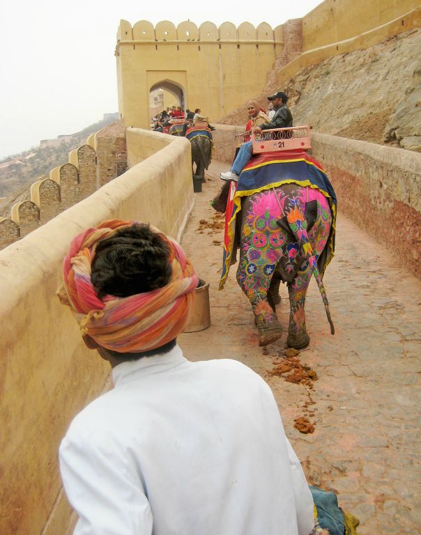 The best route up to the fort is by elephant.